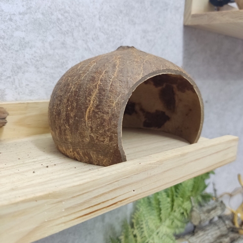 Hang trú ẩn, nhà ngủ gáo dừa cho thú cưng