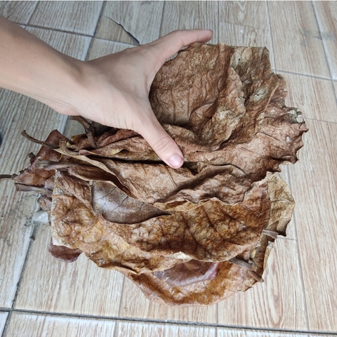 Cát trắng thủy sinh bịch 1000 gram