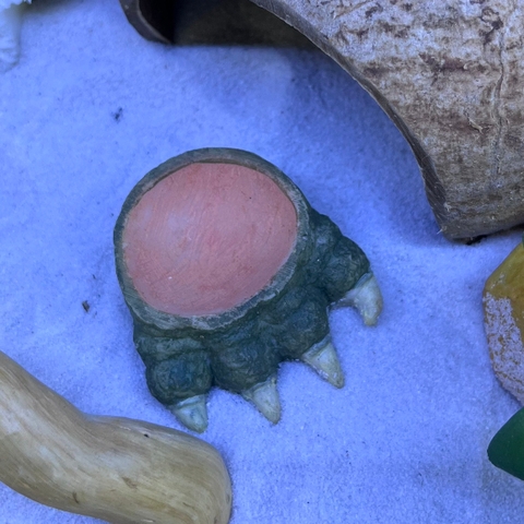 Bát ăn mini 4cm cho cua ma cà rồng, ốc nhỏ, và một số loài mini