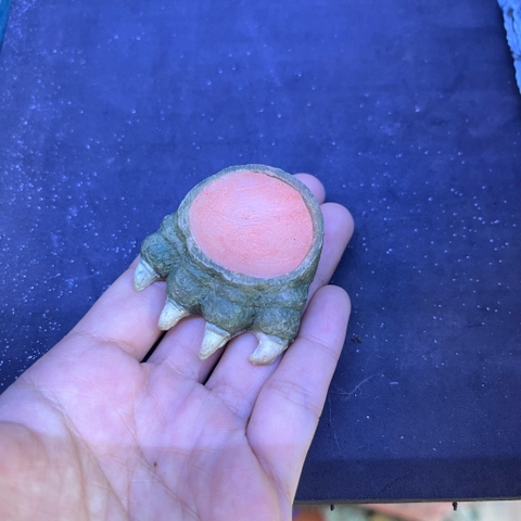 Bát ăn mini 4cm cho cua ma cà rồng, ốc nhỏ, và một số loài mini