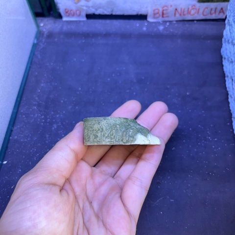 Bát ăn mini 4cm cho cua ma cà rồng, ốc nhỏ, và một số loài mini