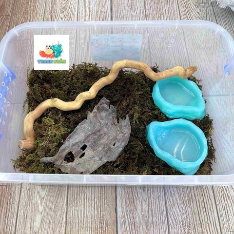 Combo nuôi tặng kèm OMH và phiếu hướng dẫn cho người mới kích thước 45x31x16cm