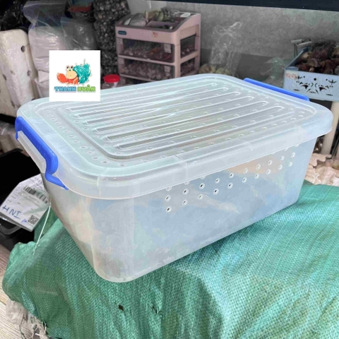 Combo nuôi tặng kèm OMH và phiếu hướng dẫn cho người mới kích thước 45x31x16cm