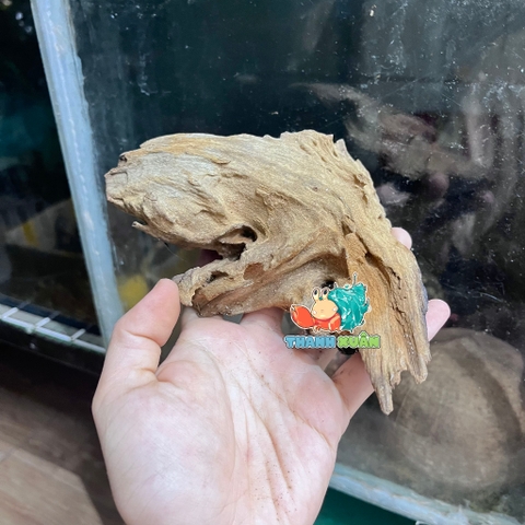 Lũa gỗ san đá nhỏ kích thước 15-20cm giao ngẫu nhiên