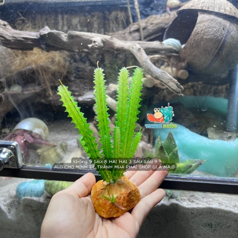 Cây giả trang trí QM48