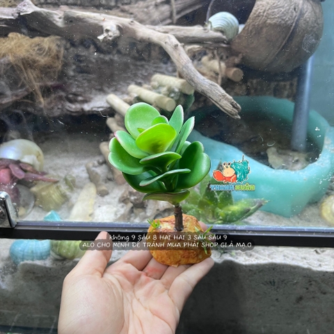 Cây giả trang trí chuồng bò sát chất liệu cao su dẻo