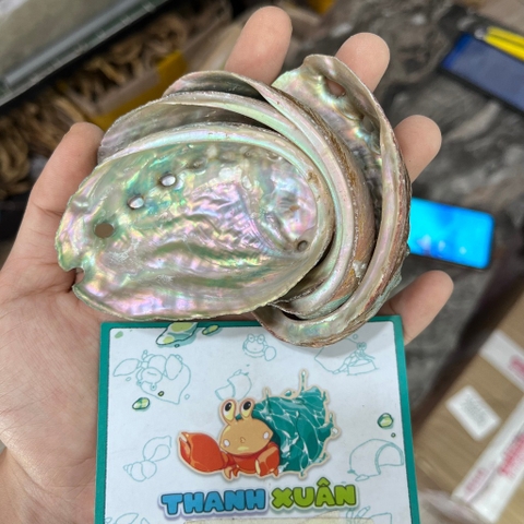 Bát ăn vỏ bào ngư xà cừ lấp lánh cỡ nhỏ 6-7cm