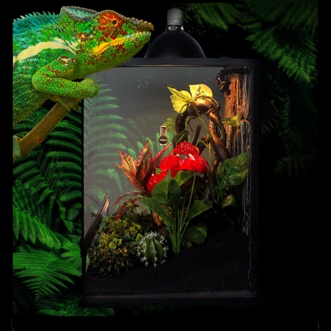 Chuồng kính 30x30x45cm cửa mở dành cho bò sát hoặc cây cảnh