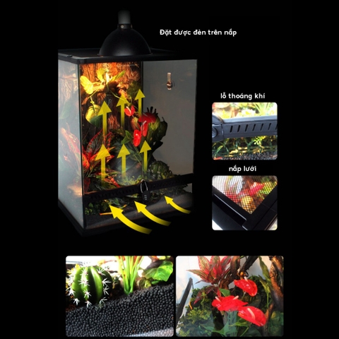 Chuồng kính 30x30x45cm cửa mở dành cho bò sát hoặc cây cảnh