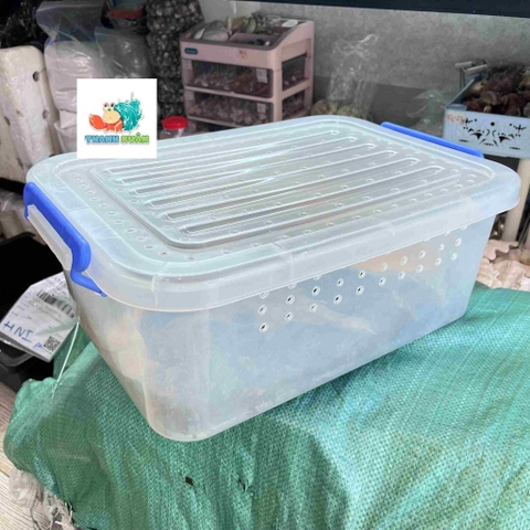 Combo nuôi tặng kèm OMH và phiếu hướng dẫn cho người mới kích thước 45x31x16cm