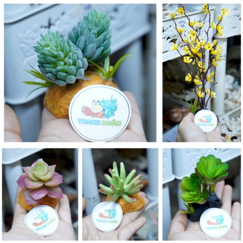 Cây giả trang trí chuồng nuôi bò sát và ốc mượn hồn