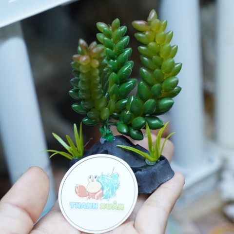 Cây giả trang trí chuồng bò sát mẫu tùy chọn