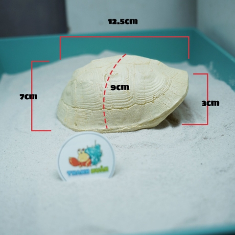 Hang trú ẩn hình mai rùa nhựa đúc màu vàng nhạt cho ốc mượn hồn