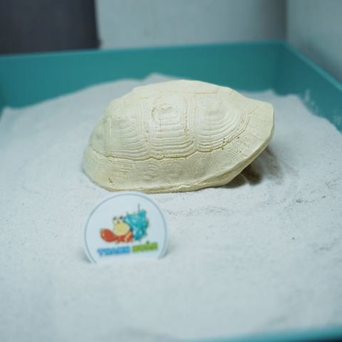 Hang trú ẩn hình mai rùa nhựa đúc màu vàng nhạt cho ốc mượn hồn