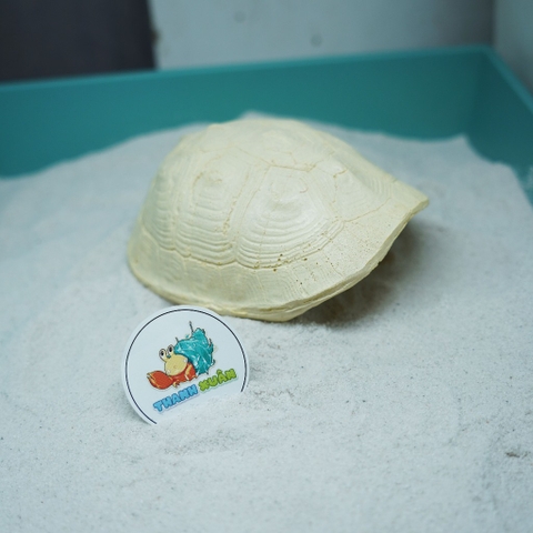 Hang trú ẩn hình mai rùa nhựa đúc màu vàng nhạt cho ốc mượn hồn