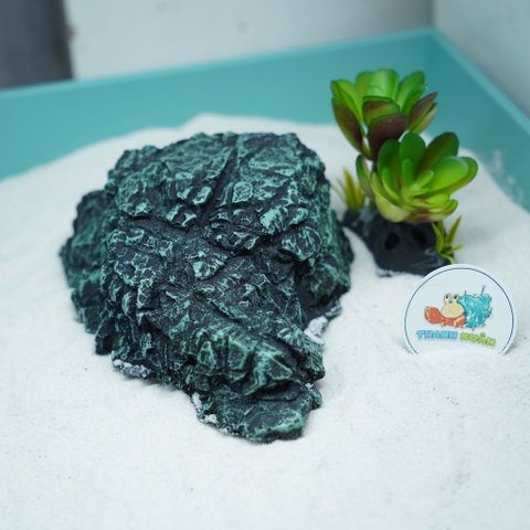 Hang trú ẩn nhựa đúc màu xanh rêu cho bò sát, ốc mượn hồn chống thấm nước, chống lật đổ