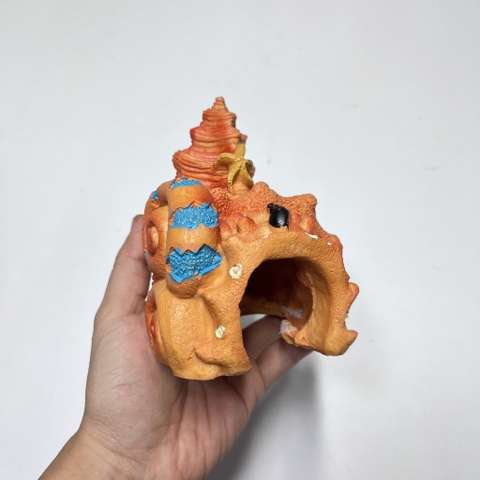 Hang trú ẩn nhà ngủ cho ốc mượn hồn bò sát ( gồm 5 mẫu khác nhau )