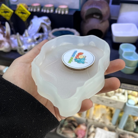 Đĩa thức ăn bát đựng nước màu trắng