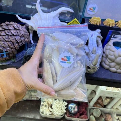 Vụn Mai mực, nang mực khô túi 100gam bổ sung canxi cho ốc mượn hồn, chim,....