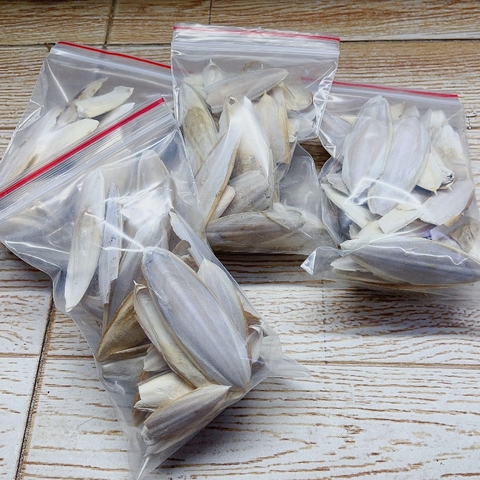 Vụn Mai mực, nang mực khô túi 100gam bổ sung canxi cho ốc mượn hồn, chim,....