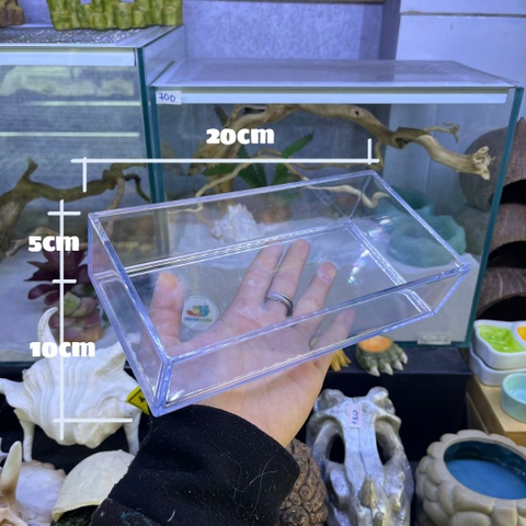 Bát mica đựng nước đựng thức ăn cho ốc mượn hồn và một số bò sát nhỏ kích thước 10x10cm và 20x10cm