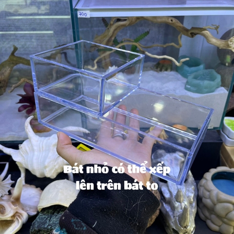 Bát mica đựng nước đựng thức ăn cho ốc mượn hồn và một số bò sát nhỏ kích thước 10x10cm và 20x10cm