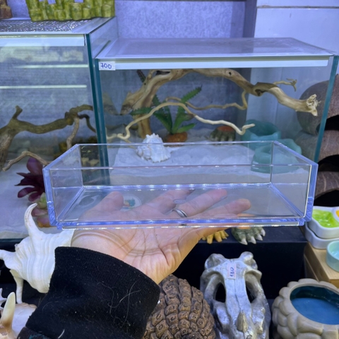 Bát mica đựng nước đựng thức ăn cho ốc mượn hồn và một số bò sát nhỏ kích thước 10x10cm và 20x10cm