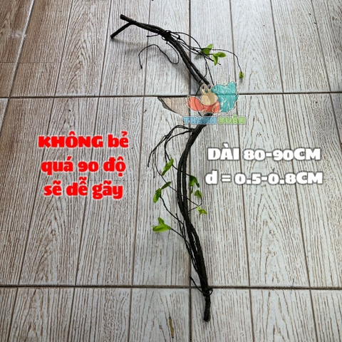 Dây leo trèo cho ốc mượn hồn- Dây leo trang trí chuồng bò sát 90CM