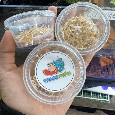 Sao biển khô thức ăn bổ sung canxi cho ốc mượn hồn