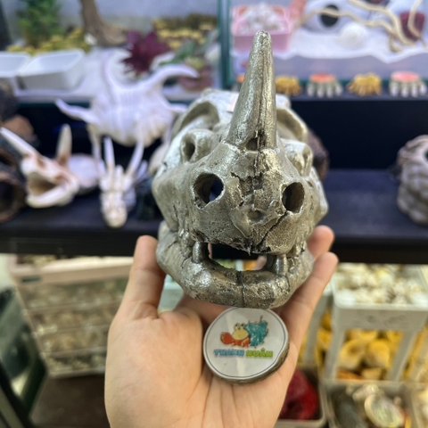 Mô hình sọ tê giác một sừng màu xám bạc làm hang trú và trang trí cho chuồng nuôi ốc mượn hồn, bò sát nhỏ