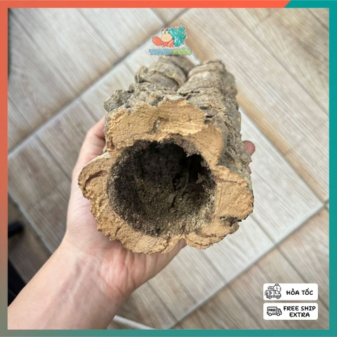 Lũa ống gỗ sồi mã L138