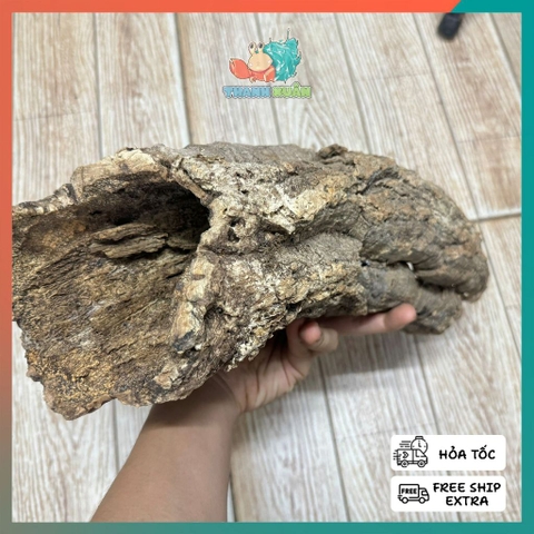 Lũa ống gỗ sồi mã L436