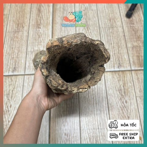 Lũa ống gỗ sồi mã L436