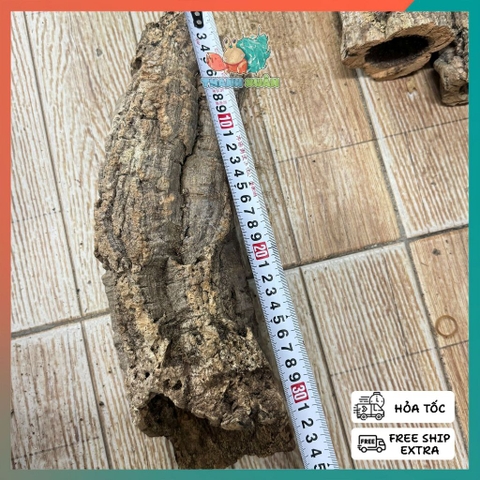 Lũa ống gỗ sồi mã L436