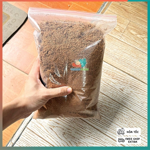 Mụn Xơ Dừa Khô lót nền cho Ốc Mượn Hồn