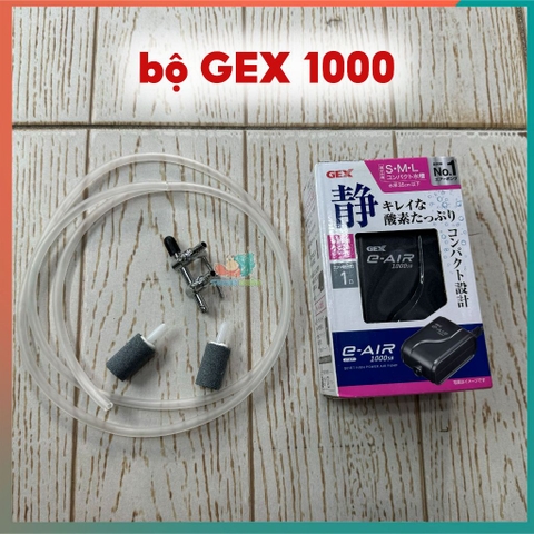 bộ gex 2000