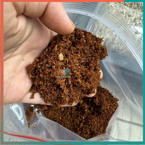 1kg Mụn xơ dừa đã qua xử lí dùng giữ ẩm cho ốc và cây