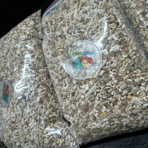 1kg cát san hô trải nền cho hồ ốc mượn hồn và hồ cá