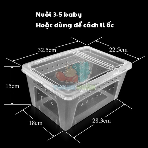 Hộp nhựa H5 nuôi 5 ốc mượn hồn size baby hoặc dùng cách li ốc