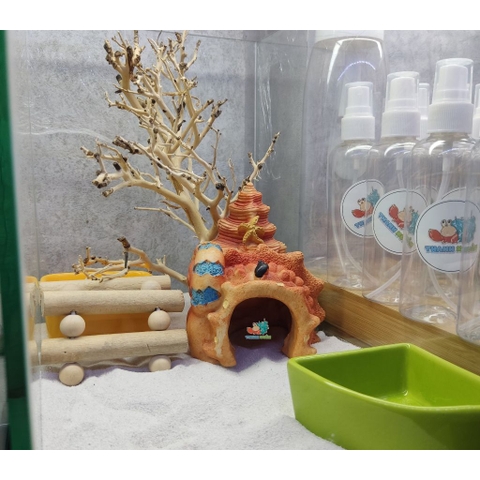 LŨA XƯƠNG CHÙM nhánh ngẫu nhiên trang trí bể nuôi Ốc Mượn Hồn và trang trí bể thủy sinh