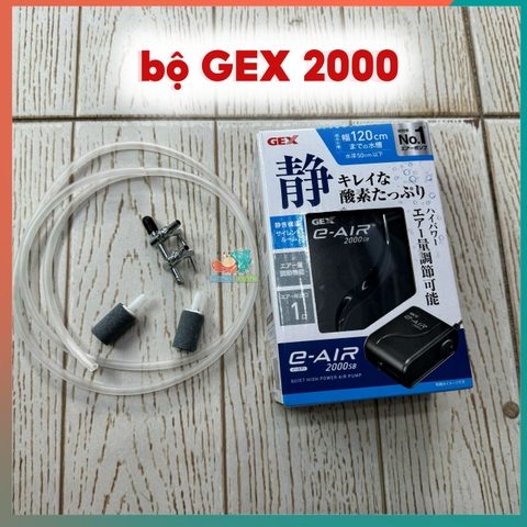 bộ gex 2000