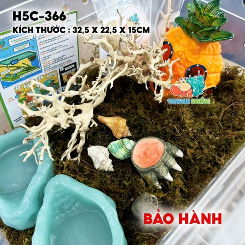 combo nuôi ốc mượn hồn size baby mã -HR5-330