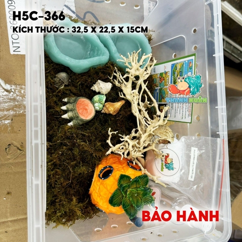 combo nuôi ốc mượn hồn size baby mã -HR5-330