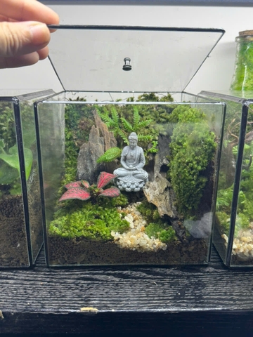 Workshop terrarium