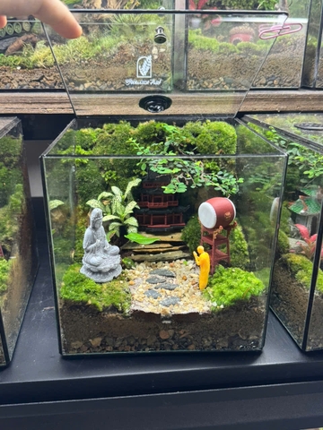 Workshop terrarium