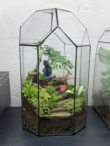 Workshop terrarium