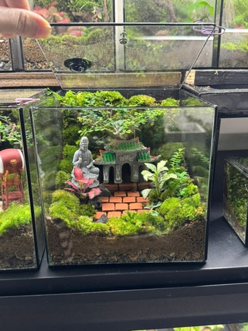 Workshop terrarium
