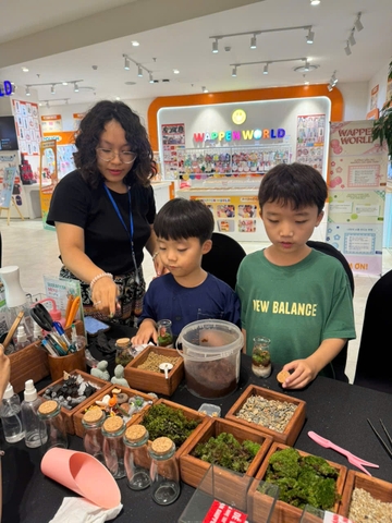 Workshop terrarium