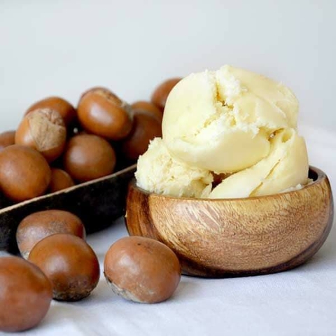 Bơ hạt mỡ được chiết xuất bằng phương pháp ép lạnh