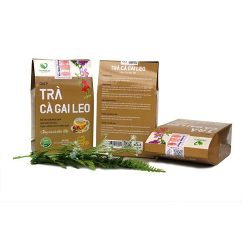 Trà Cà Gai Leo